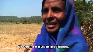 NREGA-MP--Watershed dev on Farm Interventions-MGNREGA