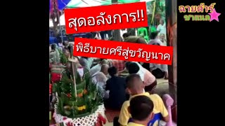 ไม่เคยพบเคยเห็น!!! พิธี บายศรีสู่ขวัญนาค สุดอลังการ