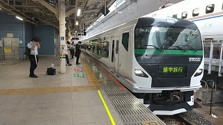 E257系5000番台OM-91編成修学旅行臨時列車小田原行き東京駅発車