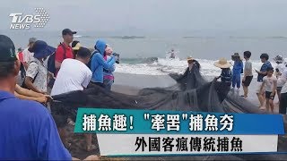 捕魚趣！ 「牽罟」捕魚夯　外國客瘋傳統捕魚