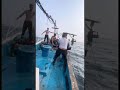 Проверяем ловушки на осьминога Выход в море octopus sea