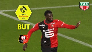 But Mbaye NIANG (71') / Stade Rennais FC - LOSC (3-1)  (SRFC-LOSC)/ 2018-19