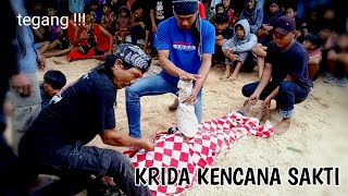 Seru !! janturan Krida kencana sakti !! hebohkan jagad !! live Blimbing kebutuh duwur