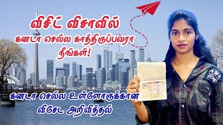 🇨🇦கனடா விசிட் விசா புதிய மாற்றங்கள் என்ன? | Canada visit visa tamil #canada #canadavisitorvisa