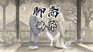 白話聊齋志異-鴿異,此之珍寶，彼之野草！千里馬在普通人眼裏就是匹馬！