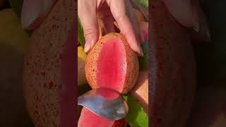 বাড়ির লাল পেয়ারা। #sweet red guava.#sort #youtubeshorts #viralvideo