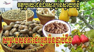 អត្ថប្រយោជន៍ដ៏អស្ចារ្យនៃការញ៉ាំគ្រាប់ស្វាយចន្ទី