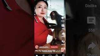 Monkey flirting girl