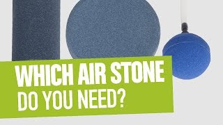 Which Air Stone Do You Need?