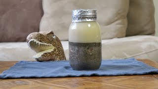 Make your own Sediment Jar!