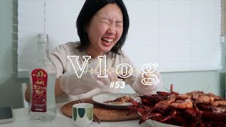 아뚱 VLOG #53 | 🇰🇷 직장인 먹방 일상 브이로그 | 마라처돌이의 마라롱샤 해먹기 (feat. 고량주) | 헤비 구독자(?) 만나기 | 맥주 덕후의 금요일🍺