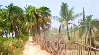 Guliakhali Sea Beach | গুলিয়াখালি সমুদ্রসৈকত | Shitakundo, Chittagong