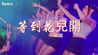 杭嬌 - 等到花兒開 - [慢搖DJ舞曲] - 2023年最勁爆的DJ歌曲  - [Chinese Dj Remix 2023]