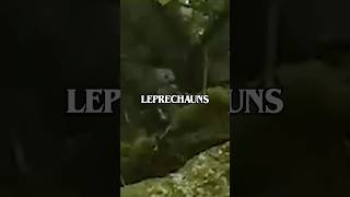 Leprechauns exist?