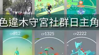 [Pokemon  GO]精靈寶可夢色違木守宮社群日主角