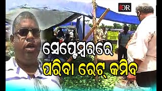 ବର୍ଷା ବଢ଼ିଲେ ପରିବା ରେଟ୍‌ ବଢ଼ିବ || Vegetable Price ||  Odisha Reporter