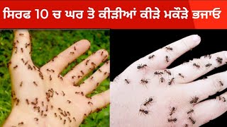 ਸਿਰਫ 10 ਰੁਪਏ ਚ ਘਰ ਤੋ ਕੀੜੀਆਂ ਕੀੜੇ ਮਕੌੜੇ ਭਜਾਓ | chintiyo se chutkara