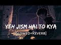 Yeh Jism Hai Toh Kya [Slowed+Reverb] Jism 2 | Ali Azmat | Lofi Music Channel