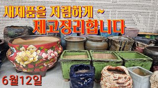 6월12일 토끼네화분 #새제품을 저럼ㅈ하게#