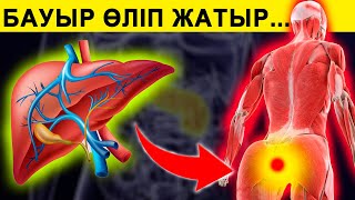 БАУЫРЫҢЫЗДЫҢ ӨЛІП жатқанының БЕЛГІЛЕРІ. (БАУЫР ауруы 90% СИМПТОМСЫЗ өтеді.) #ем #бауыр #қазақша