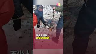 热心民众赠物资送暖  中国暴雪车龙困36小时