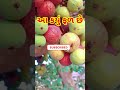 આ ફળ કયું છે😱તમે 100% જોયેલું હશે😱 shortsfeed shorts fruit