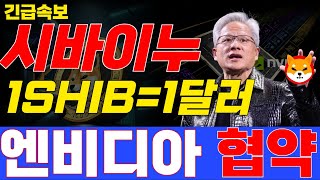 시바이누코인 100배 폭등!! 충격발언 젠슨 황 제2의 트럼프 밈코인이 되겠다!! 이번 시바이누재단과 엔비디아의 역대급 협업으로 만든 블록체인AI코인!!