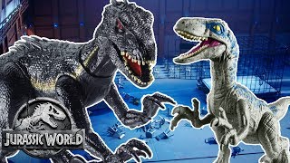Dinosaur Battles: Blue VS Indoraptor | Jurassic World | Mattel Action!