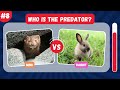 predator vs prey animal quiz 🦁🦌