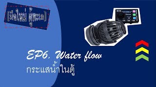 [มือใหม่ ตู้ทะเล] EP6. Water flow กระแสน้ำ