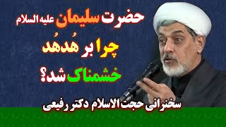 حضرت سلیمان علیه السلام چرا بر هدهد خشمناک شد؟ | سخنرانی حجت الاسلام دکتر رفیعی