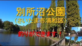 別所沼公園（さいたま市浦和区）散策　　Besshonuma Park in Saitama prefecture in Japan