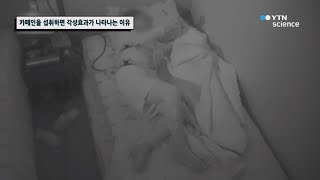 카페인을 섭취하면 각성효과가 나타나는 이유 / YTN 사이언스