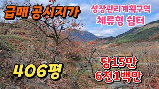 땅이모460. 급매 체류형 쉼터 406평 6천1백만 문의 010.9487.8654.#밀양주말농장매매#밀양토지매매#밀양땅매매#밀양농막매매#밀양전원주택지매매#밀양급매물#밀양체류형쉼터