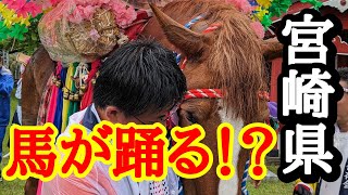 【宮崎県イベント】宮崎県三股町で馬が舞う100年以上の歴史のある早馬祭り【トッキ―二ひょう助の旅第259話】