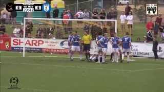 2015 NPL Grand Final - Edgeworth Eagles v Hamilton Olympic