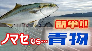 明石の某漁港でノマセ釣り🎣