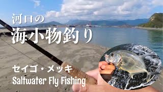 フライで海小物釣り　フライフィッシング