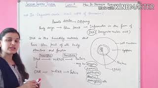 How do organism reproduce?Do organisms create exact copies of themselves?Class-10.CBSE,HBSE,NTSE,TET