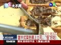 花蓮棺材板口味多 饕客慕名而來