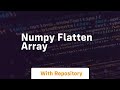 numpy flatten array