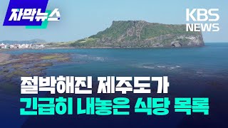 [자막뉴스] 절박해진 제주도가 긴급히 내놓은 식당 목록 / KBS 2023.07.08.