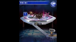 FFRK #40 ナイトメア FF11 シーカー＆ダークドラゴン 300（フレクラ周回）