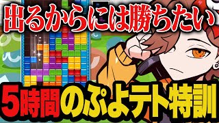 VERSUSでぷよテトにも出ることになり、やるなら勝ちたいと特訓するありさか【ぷよテト2】