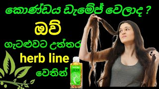 herb line hair oil/herb line production/online business idea shinhala/beauty cosmetic products