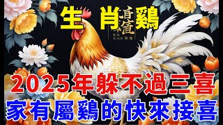 生肖鷄，你要大喜臨頭！2025年躲不過三喜，看看是什麼喜？家裏有屬鷄的快來接喜了！接住正財橫財一起來！【佛緣生肖】#生肖 #命理 #運勢 #屬相 #風水