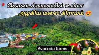 கொடைக்கானலில்💥 உள்ள அழகிய மலை கிராமம்😍 |Kodikanal hills| Vadakavunji village vlog 2022|#nadodiaj #aj