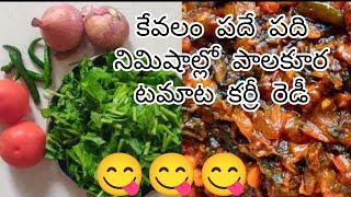 || కేవలం పదే పది నిమిషాల్లో పాలకూర టమాటా కర్రీ || తింటే అసలు వదిలిపెట్టరు|| తెలుగు ఫుడ్ vlog#