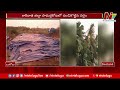 ఏపీలో దంచికొడుతున్న వర్షాలు heavy rains in andhra pradesh special report ntv