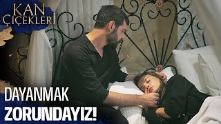 Dayanmak Zorundayız - Kan Çiçekleri